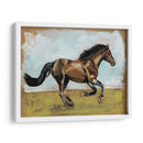 Estudios Ecuestres I - Naomi McCavitt | Cuadro decorativo de Canvas Lab