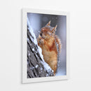 Ardilla feliz invernal - Ervin Kobakci | Cuadro decorativo de Canvas Lab