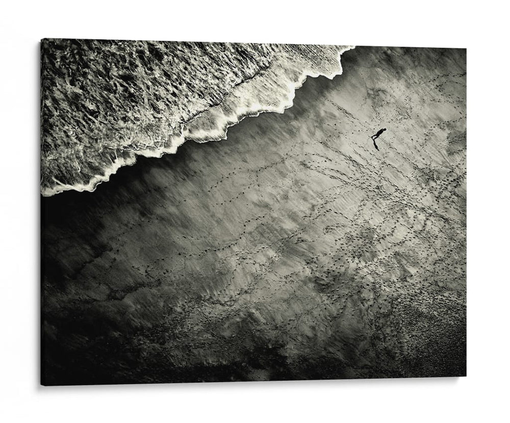 Ave playera aérea - Mirela Momanu | Cuadro decorativo de Canvas Lab
