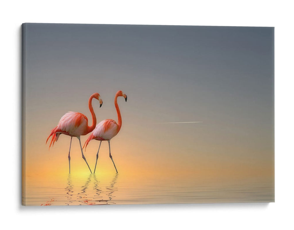 Atardecer con flamencos rosados - Anna Cseresnjes | Cuadro decorativo de Canvas Lab