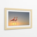 Atardecer con flamencos rosados - Anna Cseresnjes | Cuadro decorativo de Canvas Lab