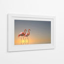 Atardecer con flamencos rosados - Anna Cseresnjes | Cuadro decorativo de Canvas Lab