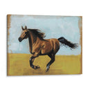 Estudios Ecuestres Ii - Naomi McCavitt | Cuadro decorativo de Canvas Lab