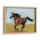 Estudios Ecuestres Ii - Naomi McCavitt | Cuadro decorativo de Canvas Lab