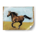 Estudios Ecuestres Ii - Naomi McCavitt | Cuadro decorativo de Canvas Lab