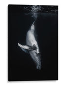 Ballena en las profundidades - Barathieu Gabriel | Cuadro decorativo de Canvas Lab