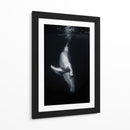 Ballena en las profundidades - Barathieu Gabriel | Cuadro decorativo de Canvas Lab