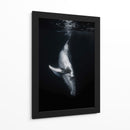 Ballena en las profundidades - Barathieu Gabriel | Cuadro decorativo de Canvas Lab