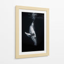 Ballena en las profundidades - Barathieu Gabriel | Cuadro decorativo de Canvas Lab