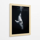 Ballena en las profundidades - Barathieu Gabriel | Cuadro decorativo de Canvas Lab