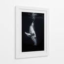 Ballena en las profundidades - Barathieu Gabriel | Cuadro decorativo de Canvas Lab