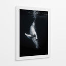 Ballena en las profundidades - Barathieu Gabriel | Cuadro decorativo de Canvas Lab