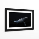 Ballena jorobada azul profundo - Barathieu Gabriel | Cuadro decorativo de Canvas Lab