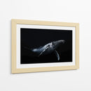 Ballena jorobada azul profundo - Barathieu Gabriel | Cuadro decorativo de Canvas Lab