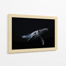 Ballena jorobada azul profundo - Barathieu Gabriel | Cuadro decorativo de Canvas Lab