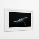 Ballena jorobada azul profundo - Barathieu Gabriel | Cuadro decorativo de Canvas Lab
