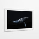 Ballena jorobada azul profundo - Barathieu Gabriel | Cuadro decorativo de Canvas Lab