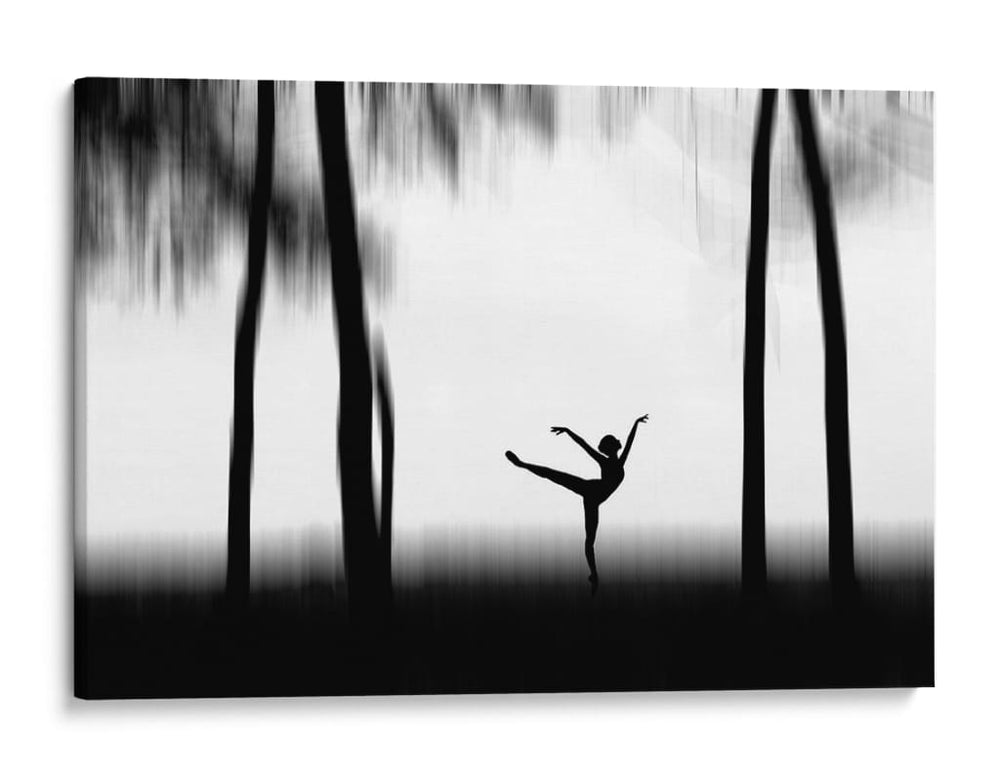 Ballet del bosque elegante - Bocah Bocor | Cuadro decorativo de Canvas Lab