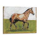 Estudios Ecuestres Iii - Naomi McCavitt | Cuadro decorativo de Canvas Lab