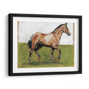 Estudios Ecuestres Iii - Naomi McCavitt | Cuadro decorativo de Canvas Lab