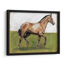 Estudios Ecuestres Iii - Naomi McCavitt | Cuadro decorativo de Canvas Lab