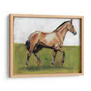 Estudios Ecuestres Iii - Naomi McCavitt | Cuadro decorativo de Canvas Lab