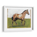 Estudios Ecuestres Iii - Naomi McCavitt | Cuadro decorativo de Canvas Lab