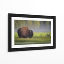 Bisonte de la mañana brumosa - Sandipan Biswas | Cuadro decorativo de Canvas Lab