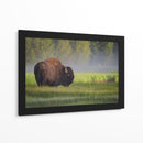 Bisonte de la mañana brumosa - Sandipan Biswas | Cuadro decorativo de Canvas Lab