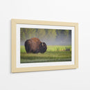 Bisonte de la mañana brumosa - Sandipan Biswas | Cuadro decorativo de Canvas Lab