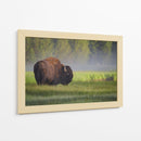 Bisonte de la mañana brumosa - Sandipan Biswas | Cuadro decorativo de Canvas Lab