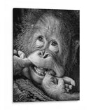 Bebé orangután juguetón - Angela Muliani Hartojo | Cuadro decorativo de Canvas Lab