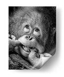 Bebé orangután juguetón - Angela Muliani Hartojo | Cuadro decorativo de Canvas Lab