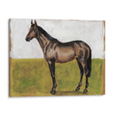 Estudios Ecuestres Iv - Naomi McCavitt | Cuadro decorativo de Canvas Lab