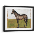 Estudios Ecuestres Iv - Naomi McCavitt | Cuadro decorativo de Canvas Lab