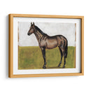 Estudios Ecuestres Iv - Naomi McCavitt | Cuadro decorativo de Canvas Lab