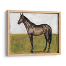 Estudios Ecuestres Iv - Naomi McCavitt | Cuadro decorativo de Canvas Lab