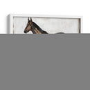 Estudios Ecuestres Iv - Naomi McCavitt | Cuadro decorativo de Canvas Lab