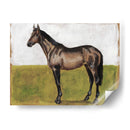 Estudios Ecuestres Iv - Naomi McCavitt | Cuadro decorativo de Canvas Lab