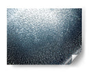 Banco de peces en remolino - Henry Jager | Cuadro decorativo de Canvas Lab