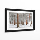 Bosque de hoja perenne nevado - Dragisa Petrovic | Cuadro decorativo de Canvas Lab