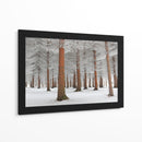 Bosque de hoja perenne nevado - Dragisa Petrovic | Cuadro decorativo de Canvas Lab