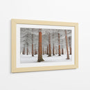 Bosque de hoja perenne nevado - Dragisa Petrovic | Cuadro decorativo de Canvas Lab