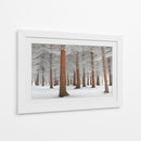 Bosque de hoja perenne nevado - Dragisa Petrovic | Cuadro decorativo de Canvas Lab