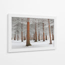 Bosque de hoja perenne nevado - Dragisa Petrovic | Cuadro decorativo de Canvas Lab