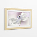 Brisa de anémona - Mandy Disher | Cuadro decorativo de Canvas Lab