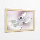 Brisa de anémona - Mandy Disher | Cuadro decorativo de Canvas Lab