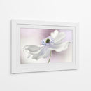 Brisa de anémona - Mandy Disher | Cuadro decorativo de Canvas Lab