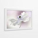Brisa de anémona - Mandy Disher | Cuadro decorativo de Canvas Lab