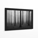 Bosque misterioso y brumoso - Jochen Bongaerts | Cuadro decorativo de Canvas Lab